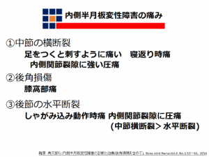 半月板損傷の治療の歴史と変性断裂の治療 越谷市大沢 東大沢整形外科内科リハビリテーションクリニック 公式