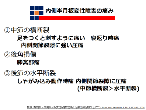 半月板損傷の治療の歴史と変性断裂の治療 東大沢整形外科内科リハビリテーションクリニック 越谷市大沢 東大沢整形外科内科リハビリテーションクリニック 公式 半月板損傷の治療の歴史と変性断裂の治療 東大沢整形外科内科リハビリテーションクリニック 越谷市大沢 東大沢整形外科内科リハビリテーションクリニック 公式