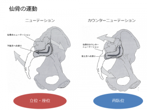 腸 テスト 仙 関節 腰痛の原因となる仙腸関節障害とは？症状や治療法について解説！