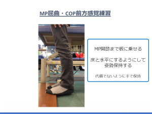 MP屈曲・COP前方感覚練習